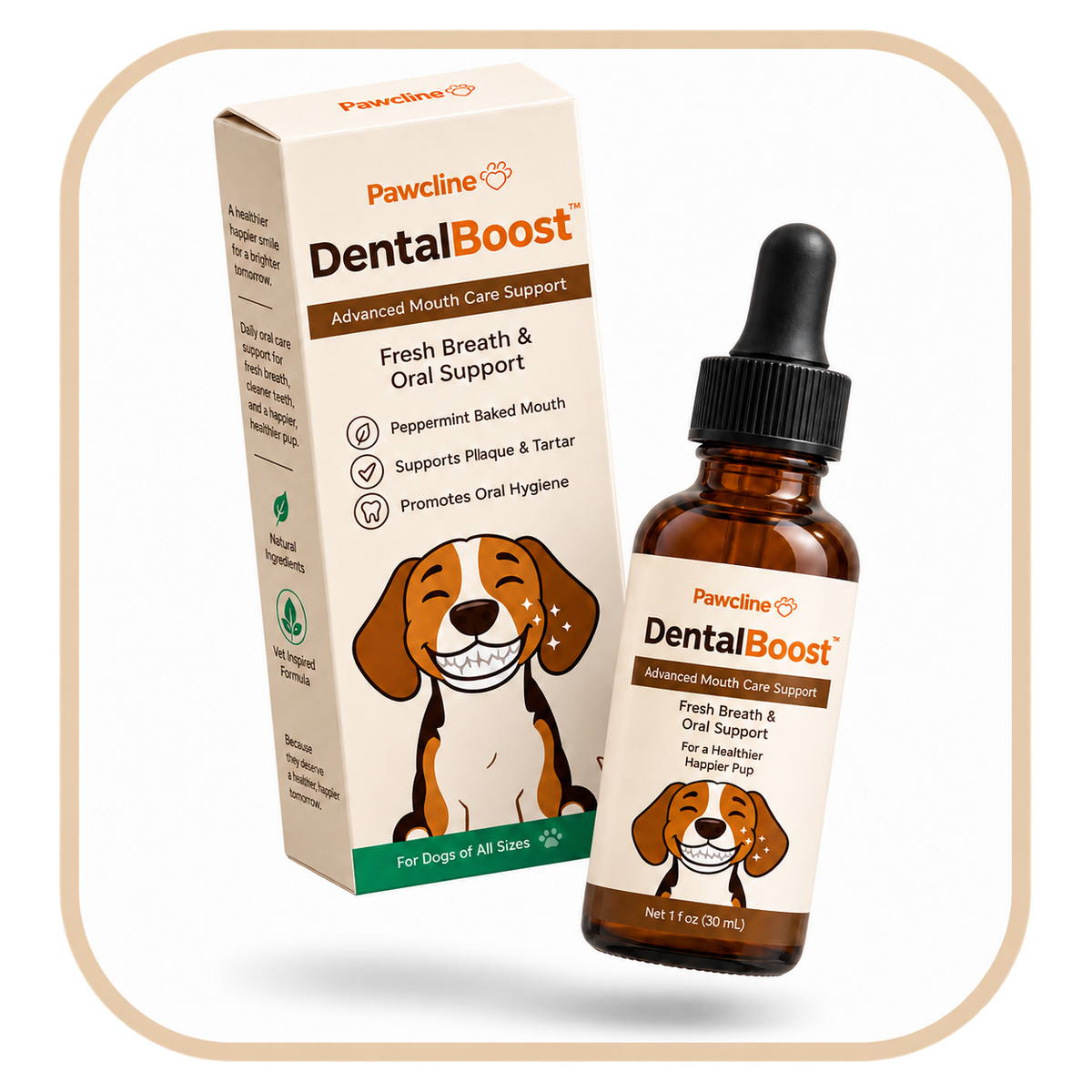 Dental Boost