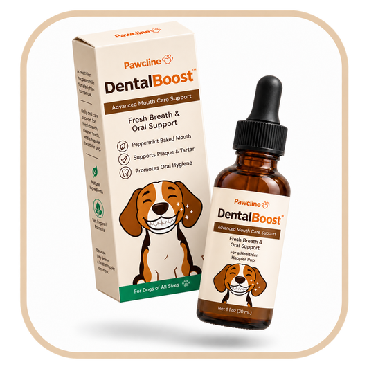 Dental Boost