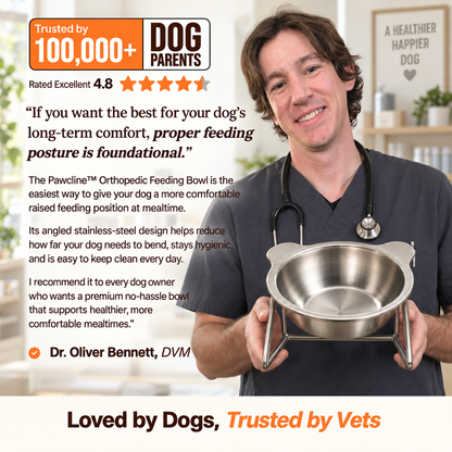 Orthopedic Feeding Bowl (with Bowl Stands)