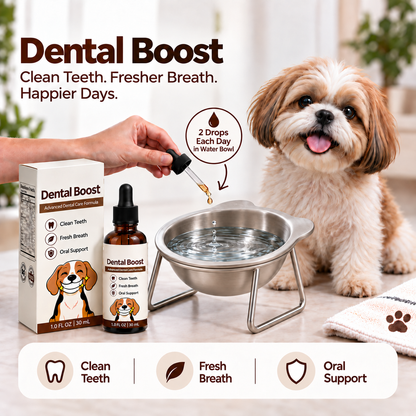 Orthopedic Feeding Bowl (with Bowl Stands)